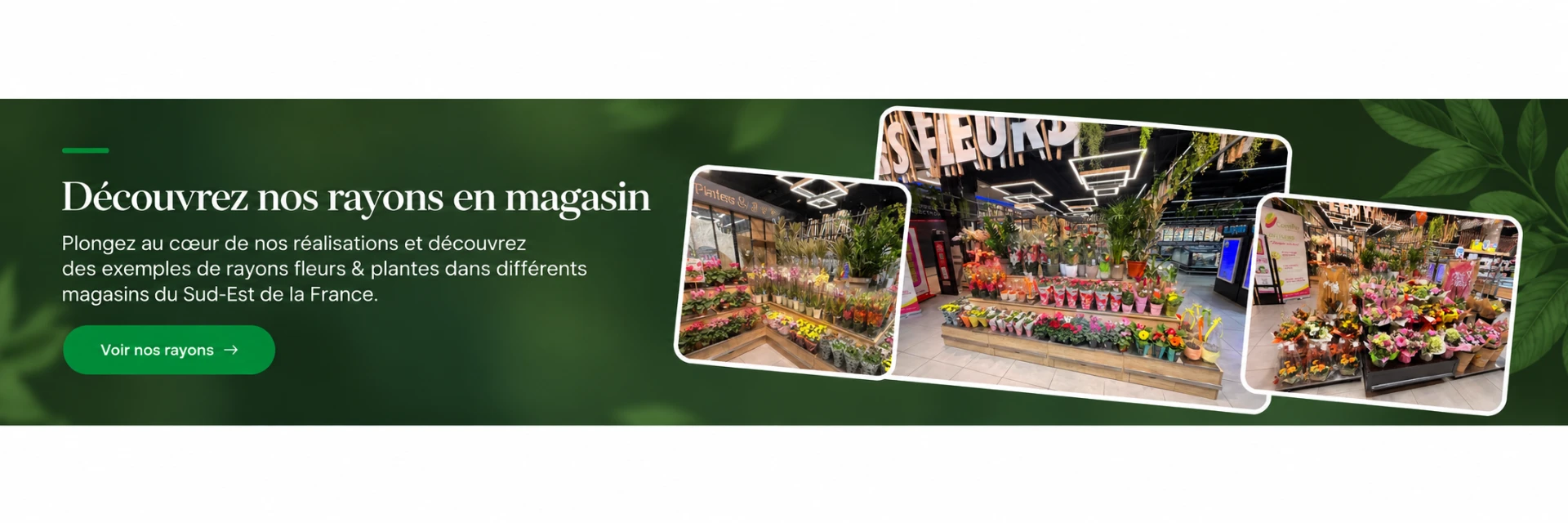 Découvrez nos rayons en magasin : trois photos de rayons fleurs et plantes en supermarché